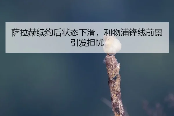sa-la-he-xu-yue-hou-zhuang-tai-xia-hua-li-wu-pu-feng-xian-qian-jing-yin-fa-dan-you-2-427.jpg