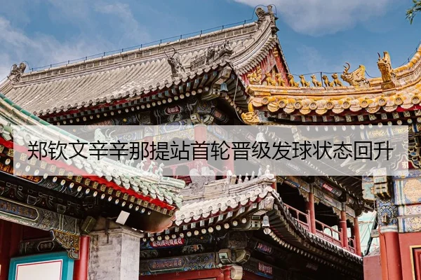 zheng-qin-wen-xin-xin-na-ti-zhan-shou-lun-jin-ji-fa-qiu-zhuang-tai-hui-sheng-3-872.jpg