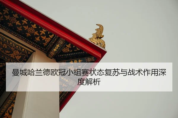 man-cheng-ha-lan-de-ou-guan-xiao-zu-sai-zhuang-tai-fu-su-yu-zhan-shu-zuo-yong-shen-du-jie-xi-2-517.jpg