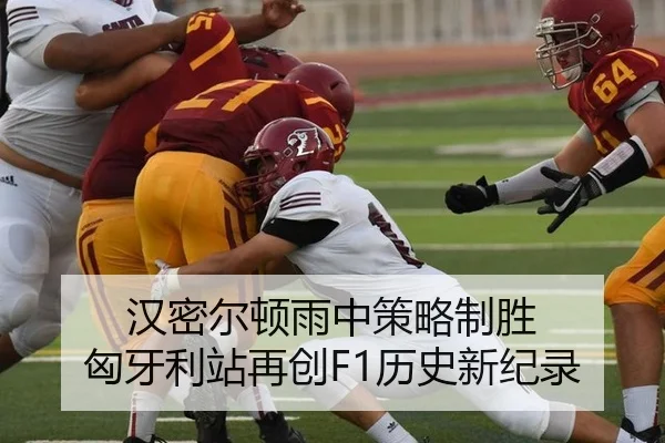 汉密尔顿雨中策略制胜 匈牙利站再创F1历史新纪录