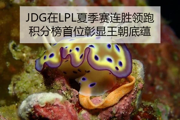JDG在LPL夏季赛连胜领跑积分榜首位彰显王朝底蕴