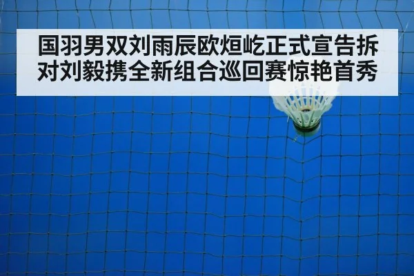 badminton training court